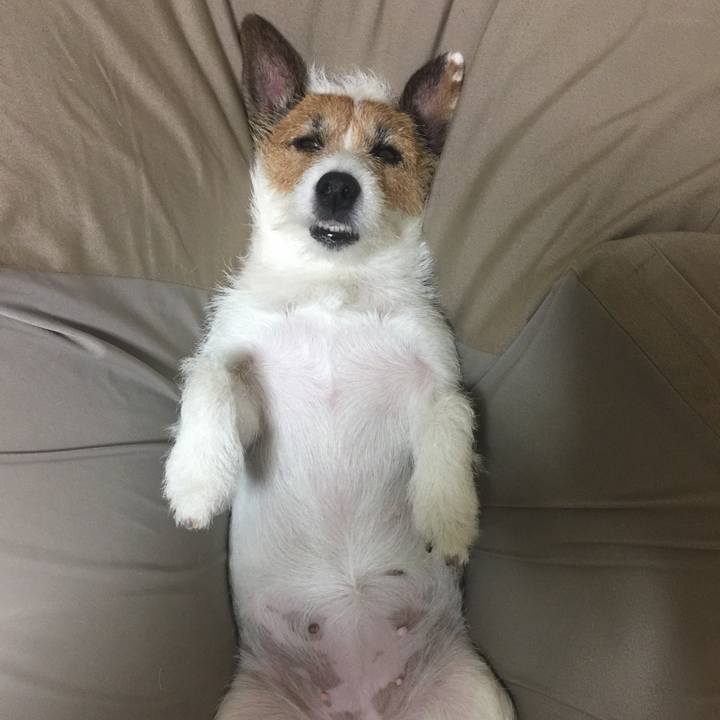 30976941 9d5f 4551 85cf e6d905085526