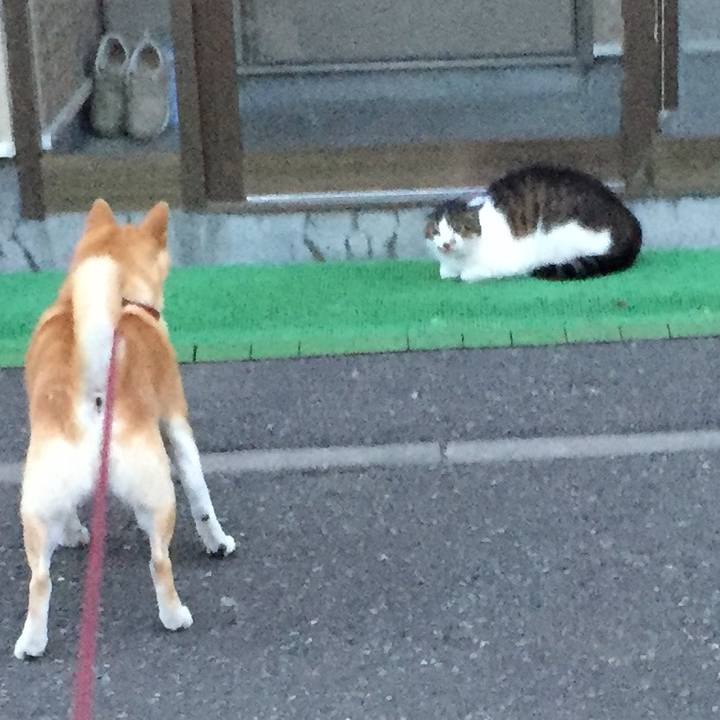 30978d95 cf4c 4b8d ab93 2c991eb292d2