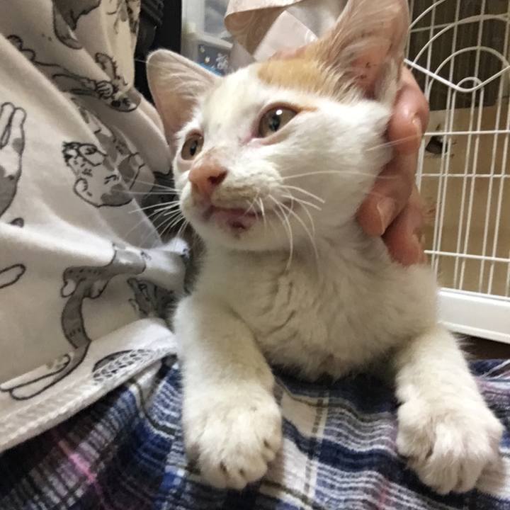 3097f441 e991 4c9a bd16 7a7ceebbe39d