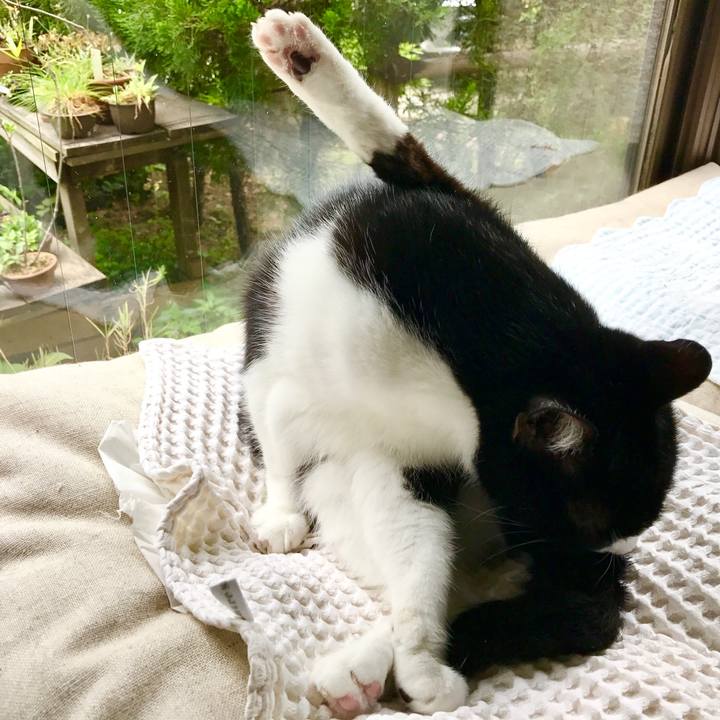 30980307 e7b5 43d1 a74a 85d545aa4a84