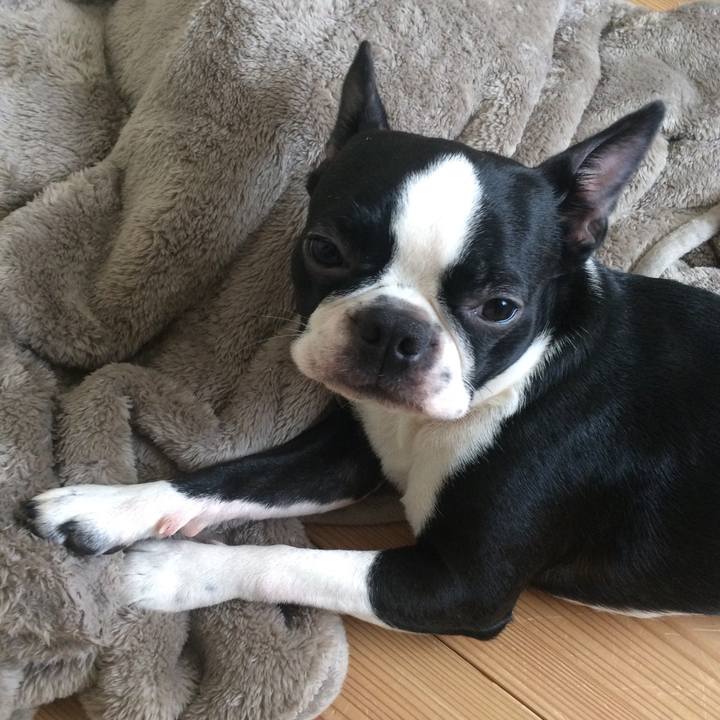 3098d926 fbfa 4e2a afa5 bd6f8865fcc9