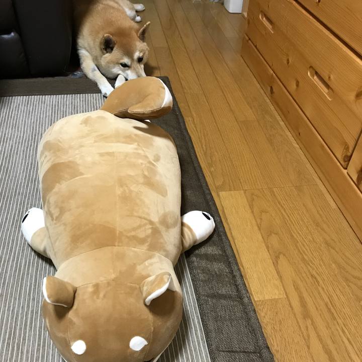 3099cbbe 6b45 41a4 babf 6bf8c5483bc8