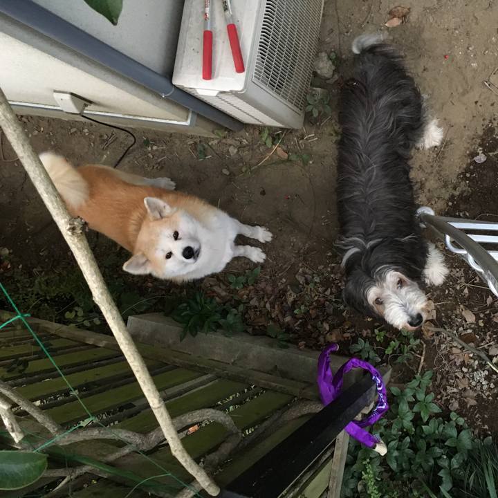 309a6a6d b572 4143 ab44 ee4faae22c17