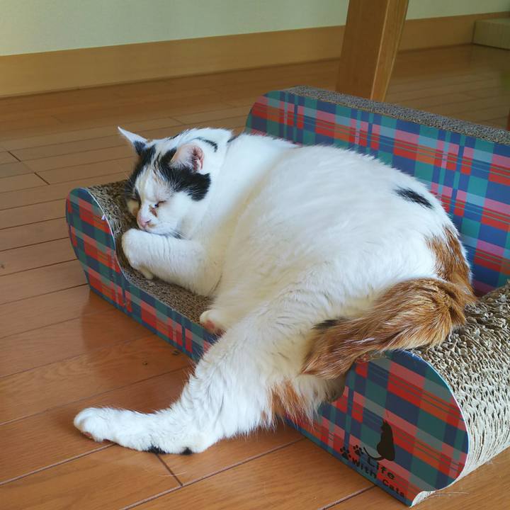 309aaf18 0721 43a5 9bd5 d72e90372e9a