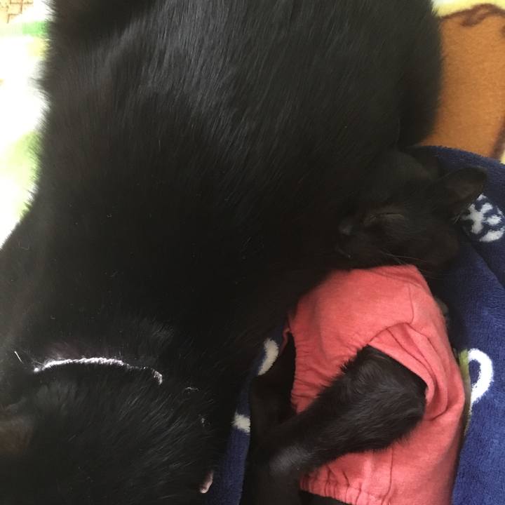 309b963e 2320 469b 81ab e698dcb29e99