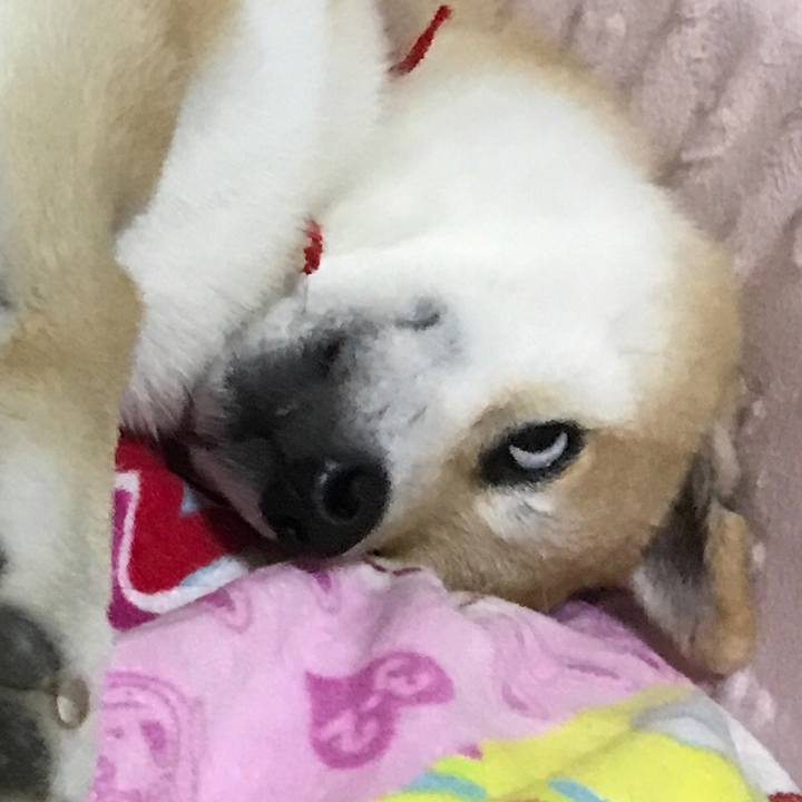 309bb726 a1c8 44a8 9e69 ee3c68a96885