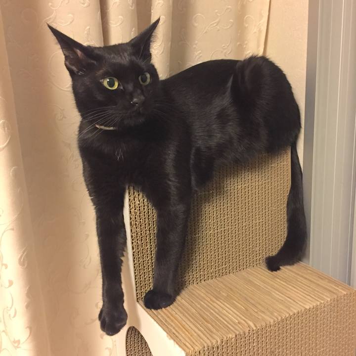 309bd421 adbd 40ae 8ed0 350290aeea26