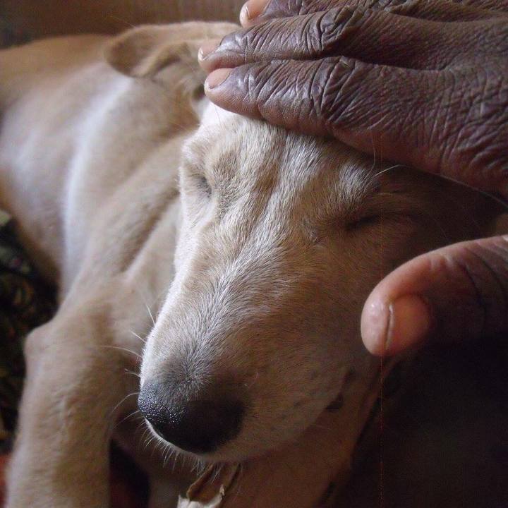 309c03bd 2773 4e72 a4a5 e7b464a6679d