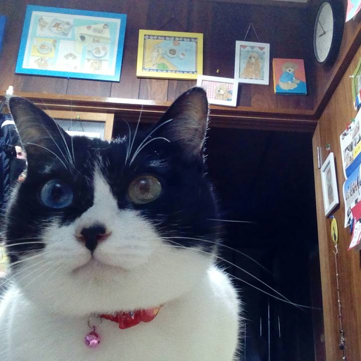 309c1253 f167 414c 8c53 1adf07225f3f