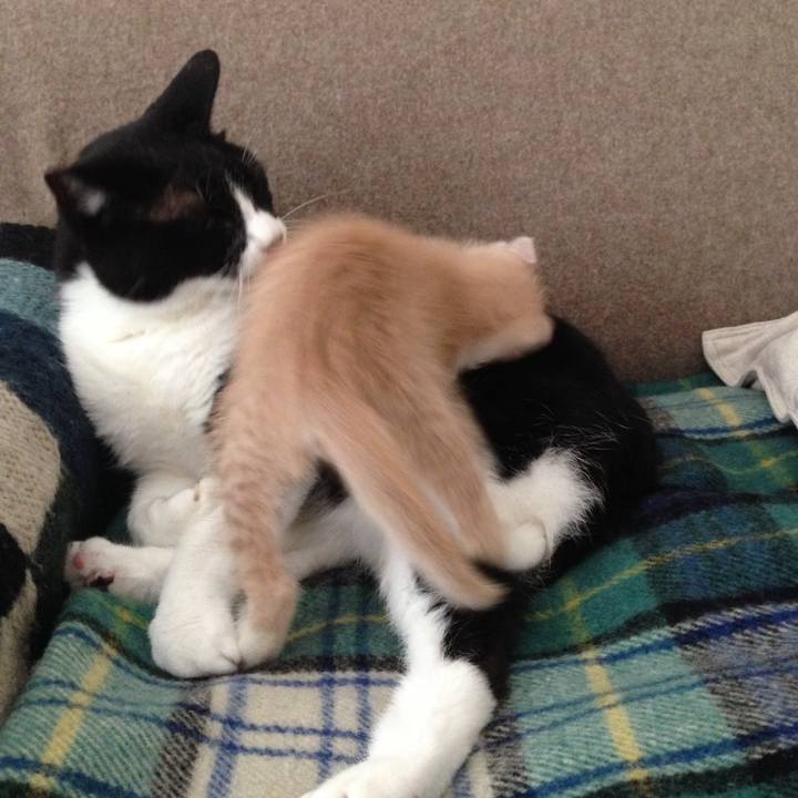 309c23f0 aa74 4a93 a310 2787fe4c123c