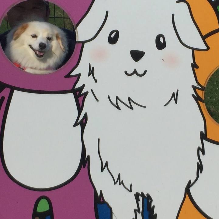 309c3191 8d0a 435f 8461 9cbfc5c53daa