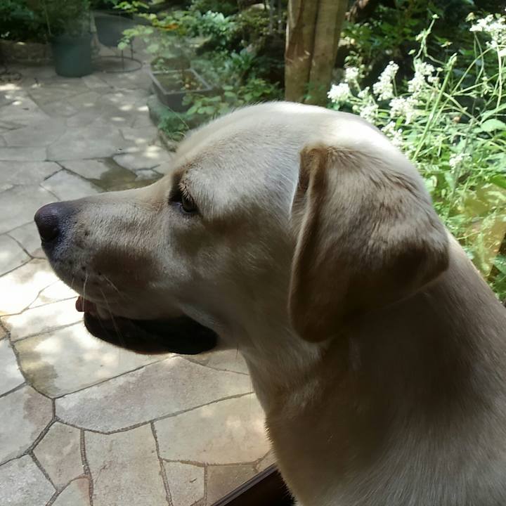 309c7392 3c98 401e abdd c92cde522193