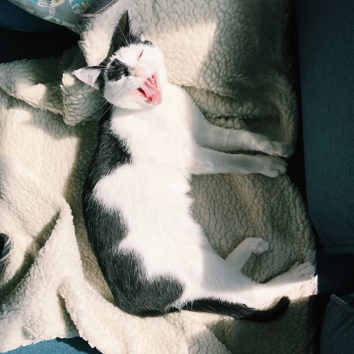 309cd471 731f 4e6a b1f0 4a1f29717d09