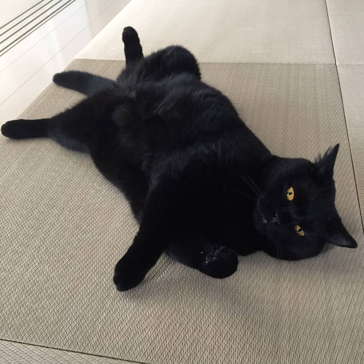 309d3d24 d75d 4340 a040 b53bdc45b159