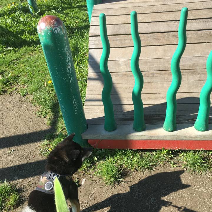 309d97af 6474 4bc7 84ce 199f3e5595bc