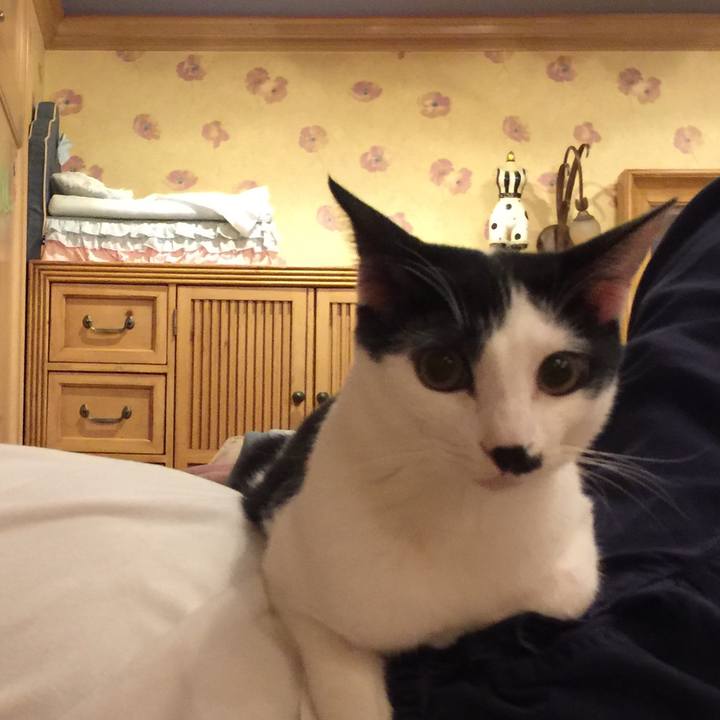 309db9db a9a8 4b9a a0ce bafcd73cfd8c