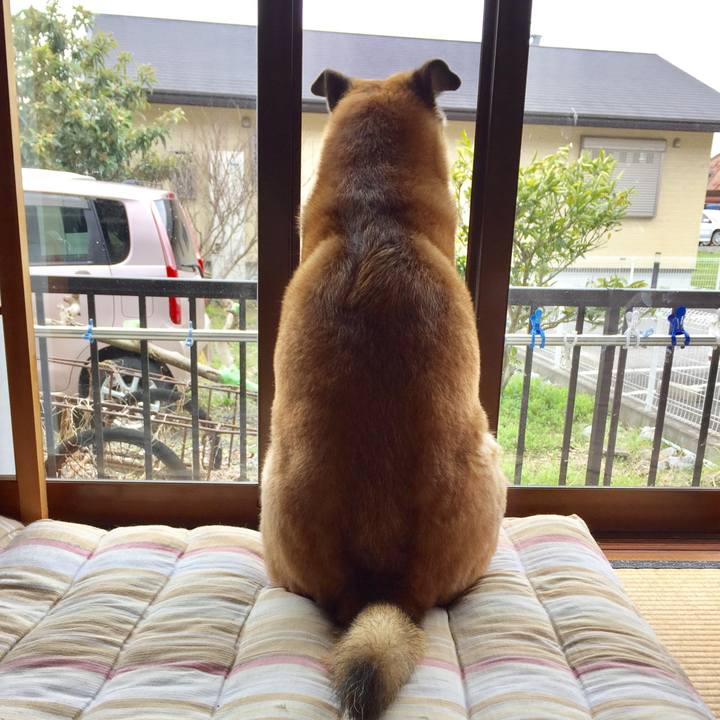 309e7bf0 2c14 4ddf 907f 05455cc3f047