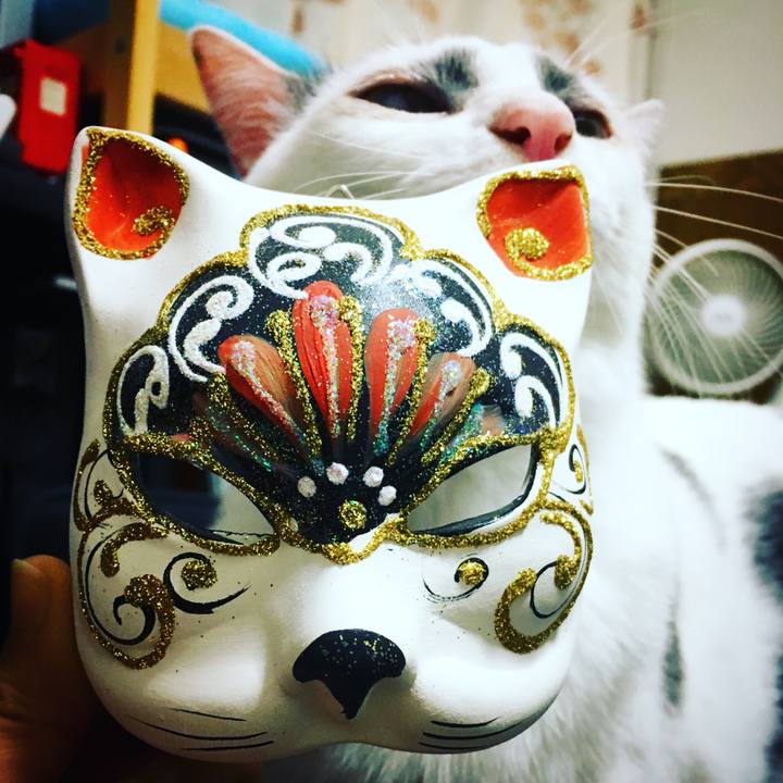 309e800b 1e56 4e18 908c 90fbfed22578