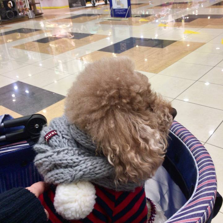 309e8657 09c3 4644 80eb 9a74d2bc2e10