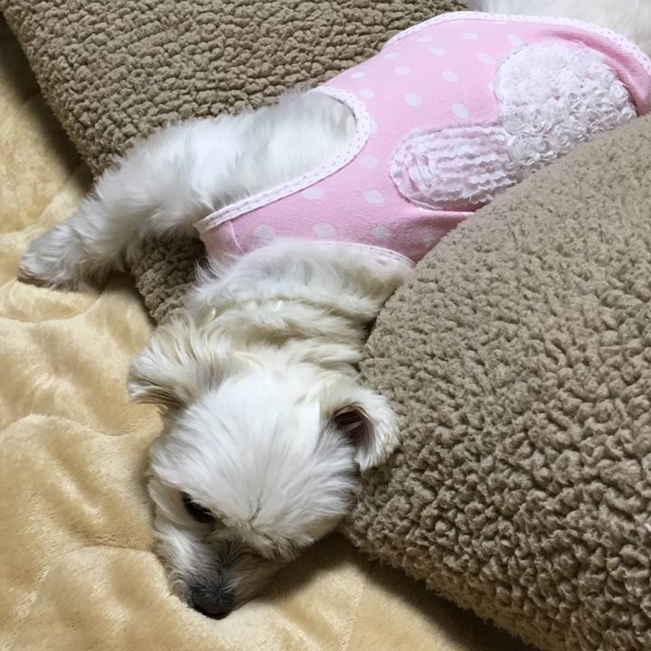 309f1900 eeb2 4f5e 83e5 949804e3b6f6