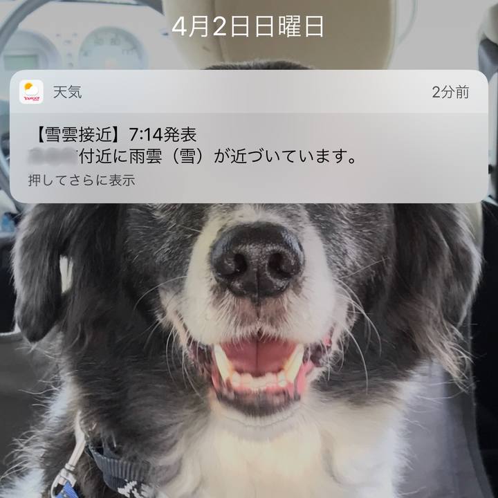 309f8065 071b 4559 be47 72e1b98cddf0