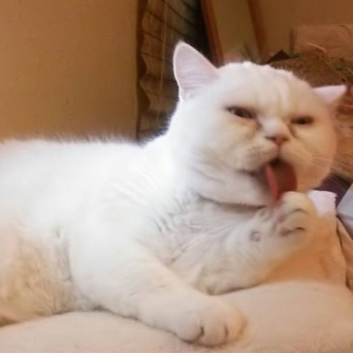 309fbb90 35ec 4345 9614 3fcc8033d5c8