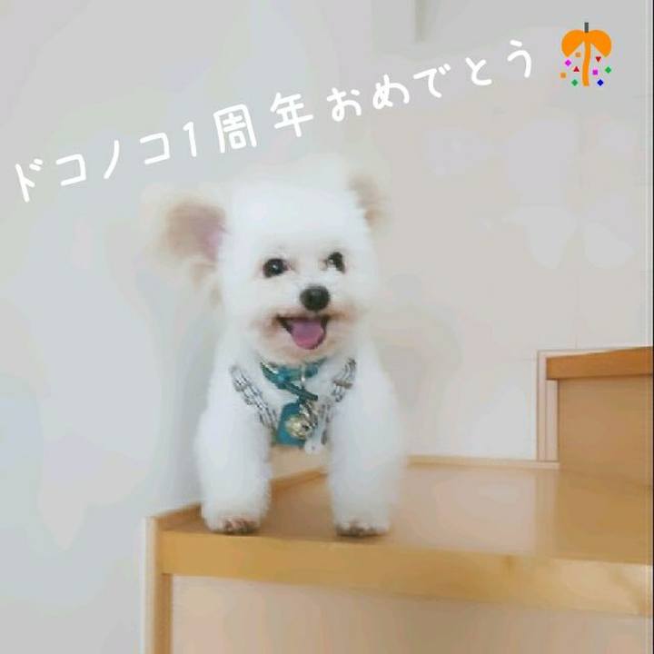 30a07d4f 8b40 485a b746 f2df5d397114