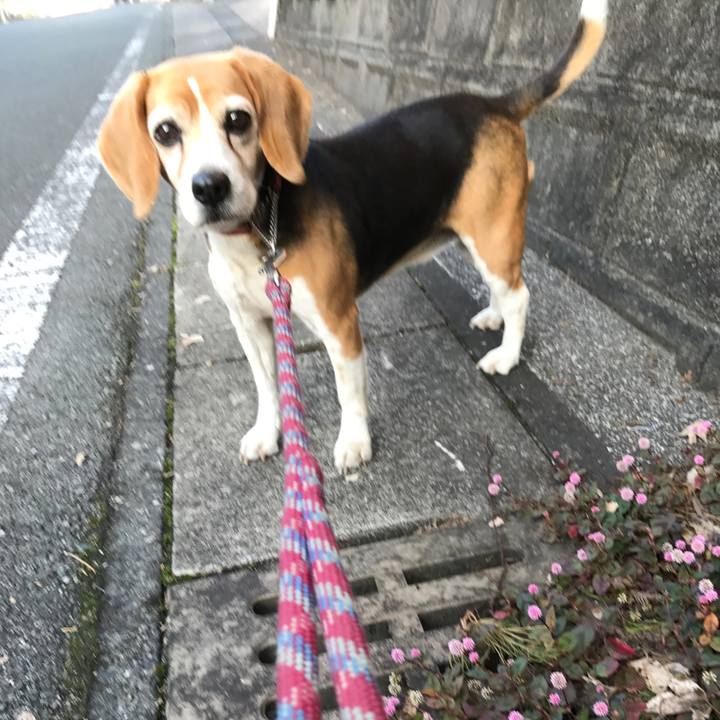 30a28536 8667 4683 a299 8836c404cbc8