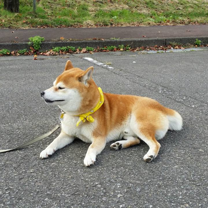 30a3303f b5d4 42c8 bbf9 8a010b1b744a