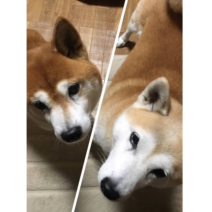 30a41848 ca81 4019 8f2a 25410e1c9b5b