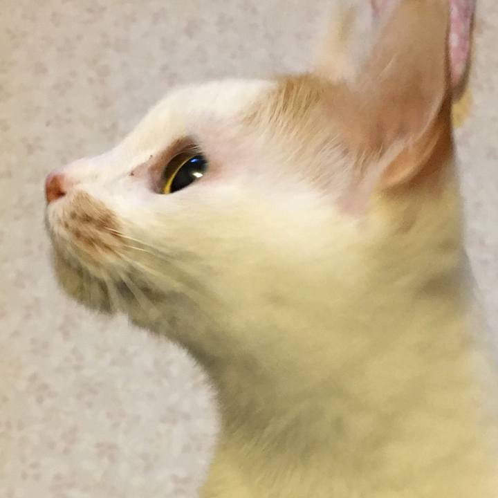 30a4839a 1c02 4cb7 822a 063664ad322a