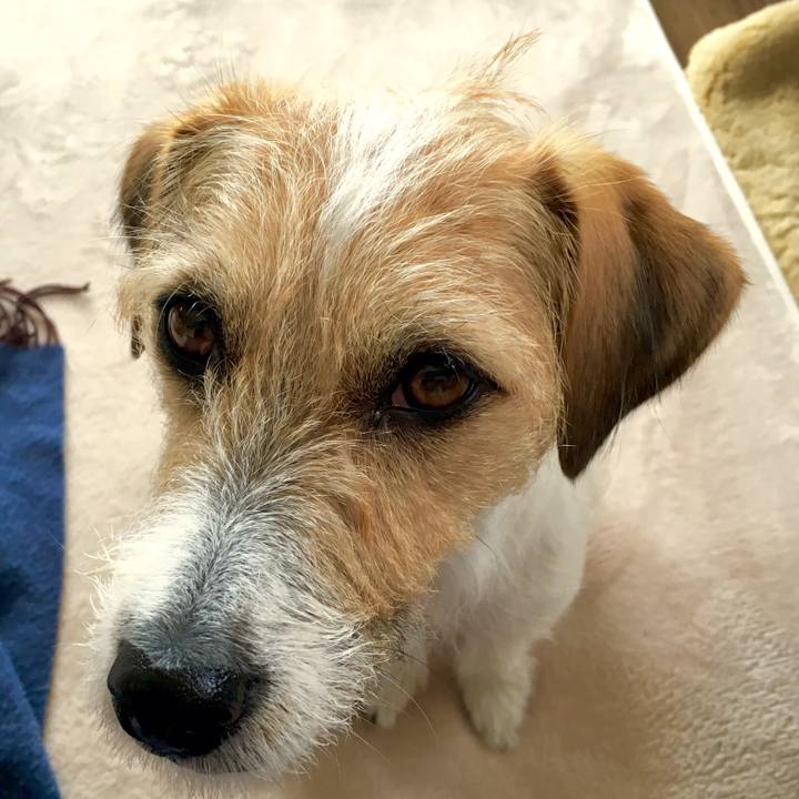 30a4f2e0 12d5 4d44 9fbf 0e6d61594413