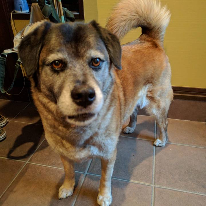 30a5a8c0 1770 4312 80ec 444371a7975b