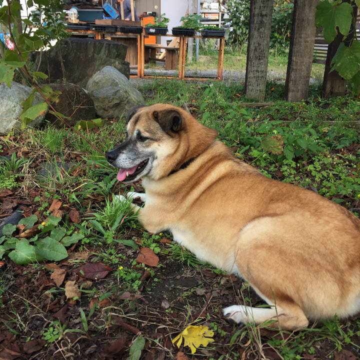 30a5c758 cc10 48fe ae1c 198971db4554