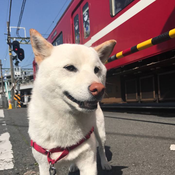 30a5ce8a 4d09 418e 86ab b759860d1032