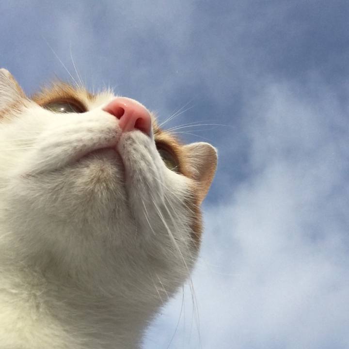 30a5d97f 8dfd 4667 96fe 8cdc512aeecd