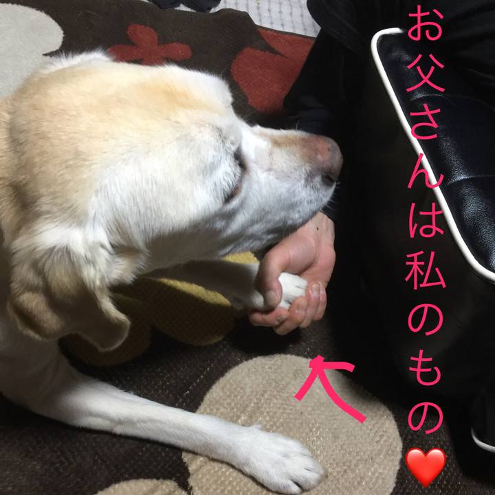 30a657f0 91de 462f 939e 11592ec96012