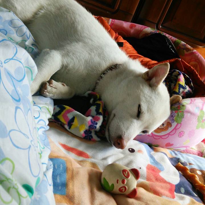 30a6ce2c 3b19 411a 86c1 d444b74b86ba