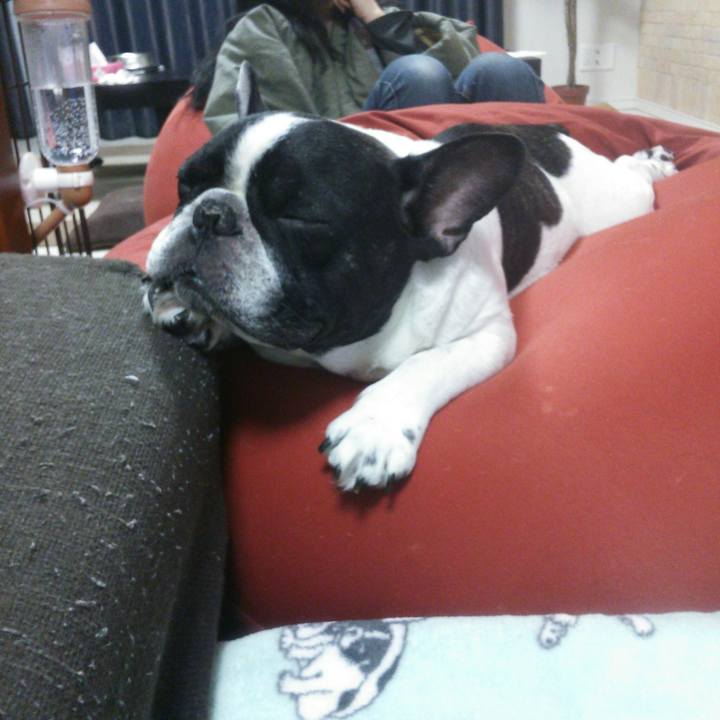 30a70f3d 273a 43e5 8827 e78d6288ae31