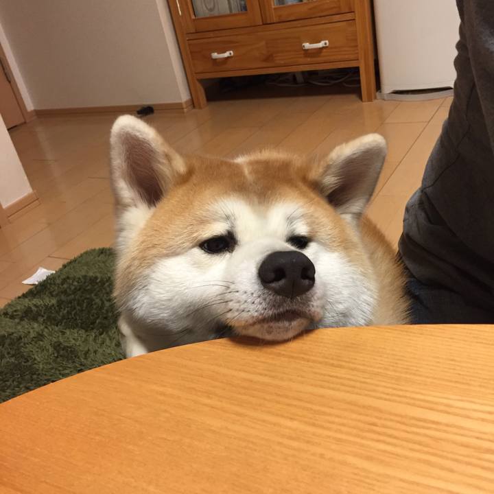 30a86755 6805 4768 8677 874981f3a421