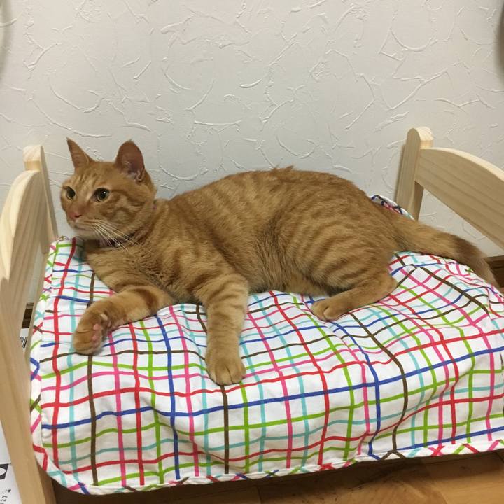 30a927ea 32bb 493c 82e3 a2059b2cf080