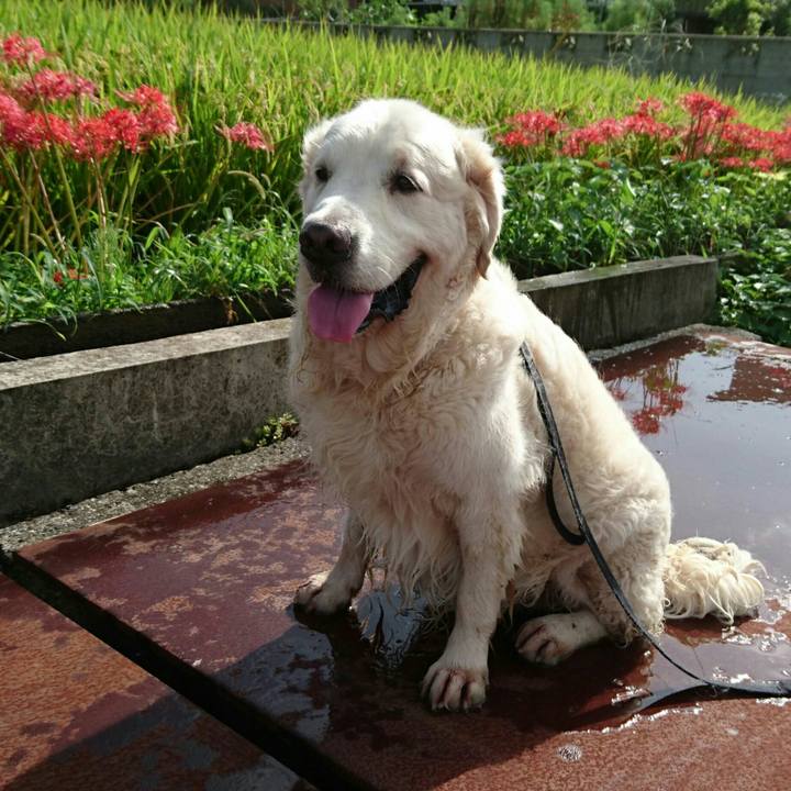 30a965fd 30f2 4ae5 8fe6 0921b2291864