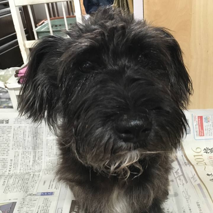 30a9f14f 7c8c 4401 b653 e7dd611aaf08