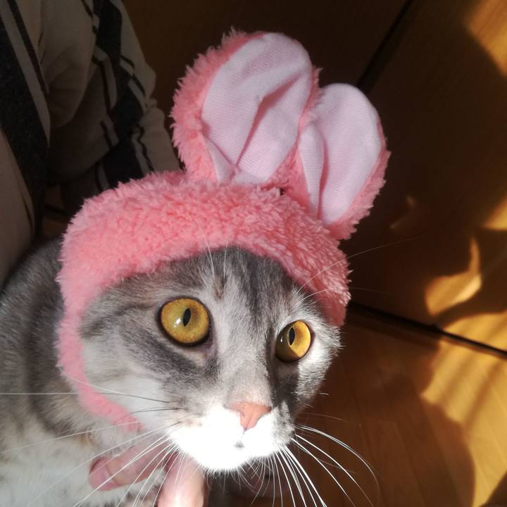 30aa6824 ab54 4d10 a8fa 2253c10a624d