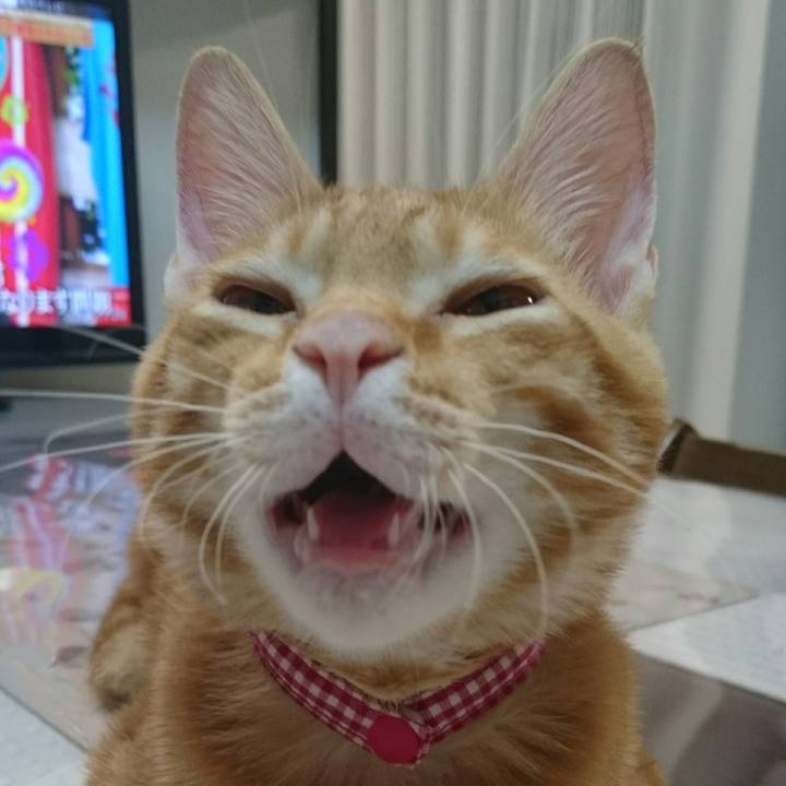 30ab0528 020b 4fe3 aa06 45eb088e72e6