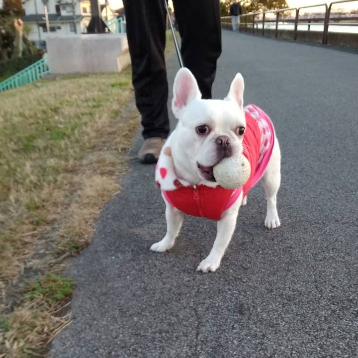 30ab1403 ce25 44c9 8f2c b1c7f790dd2b