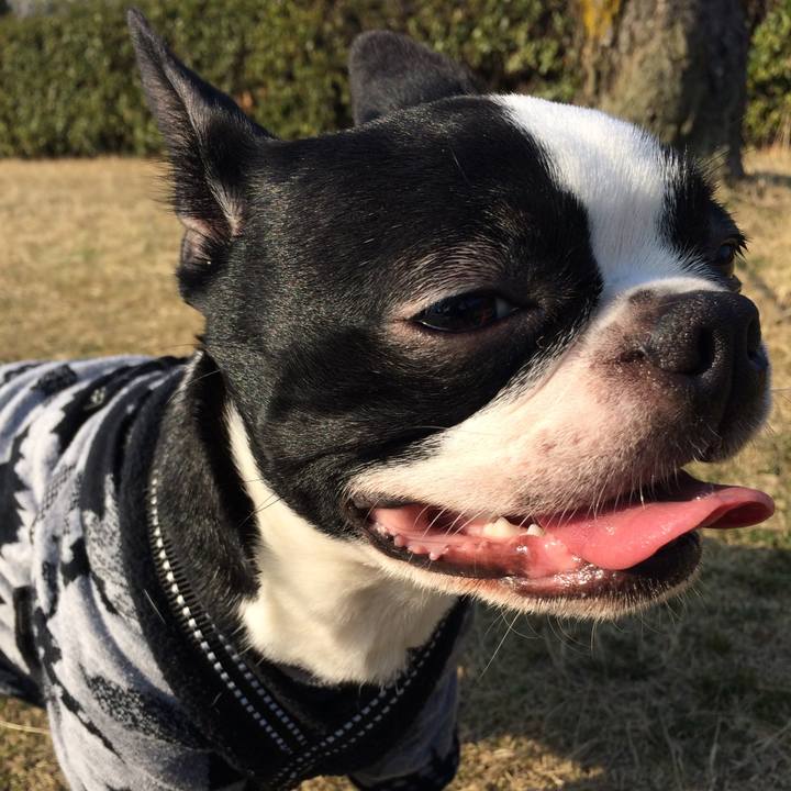 30ab821f f3f1 4f55 ba33 a7c8ce68bdc9