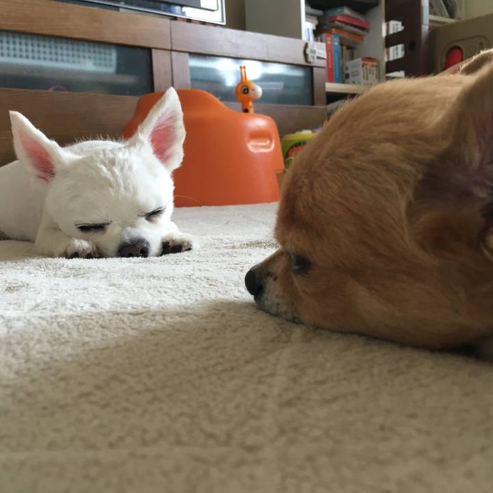 30abceac c303 433d 9abe c971ff68e4fb