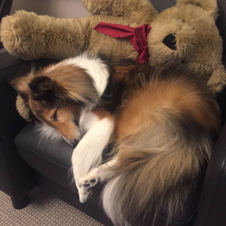 30ac8e99 1ff0 41dc 9572 a0b6554b613b