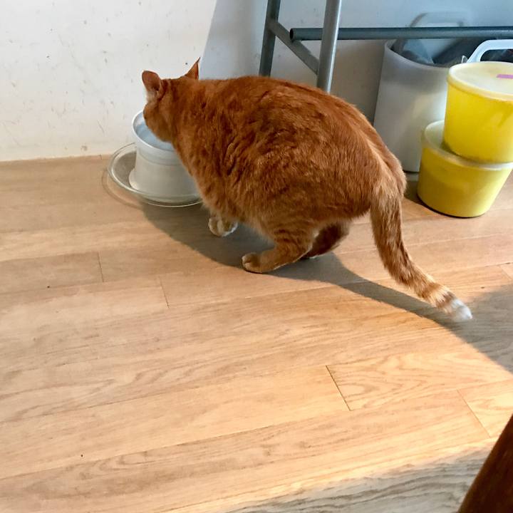 30acc99c ef2e 48d3 a76d e0ed884c327a